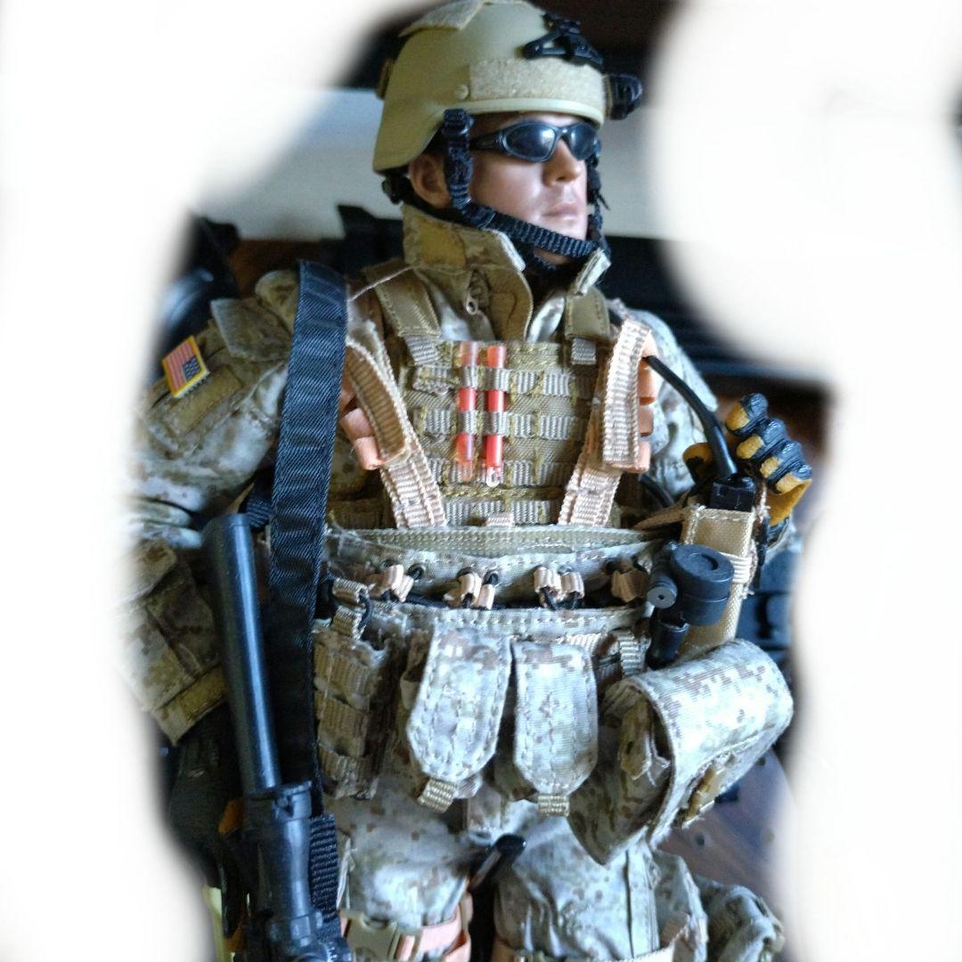 リアルミリタリーフィギュア 迷彩装備 1/6