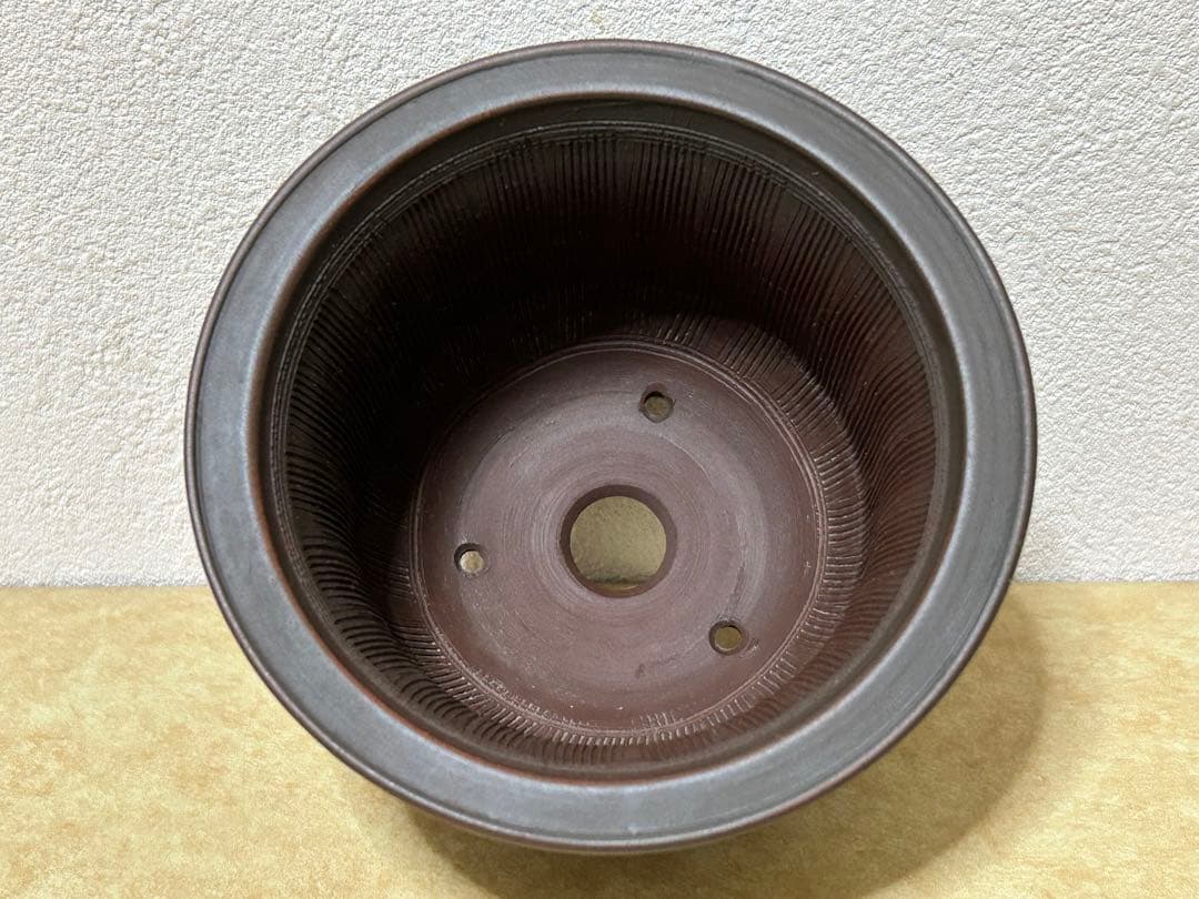 美芸　盆栽鉢　小品盆栽　山野草