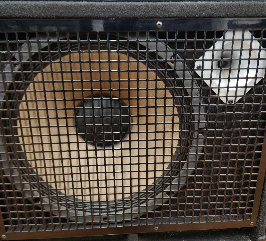 ■■SWR tBlack Beauty ベース用コンボアンプ【真空管アンプ】