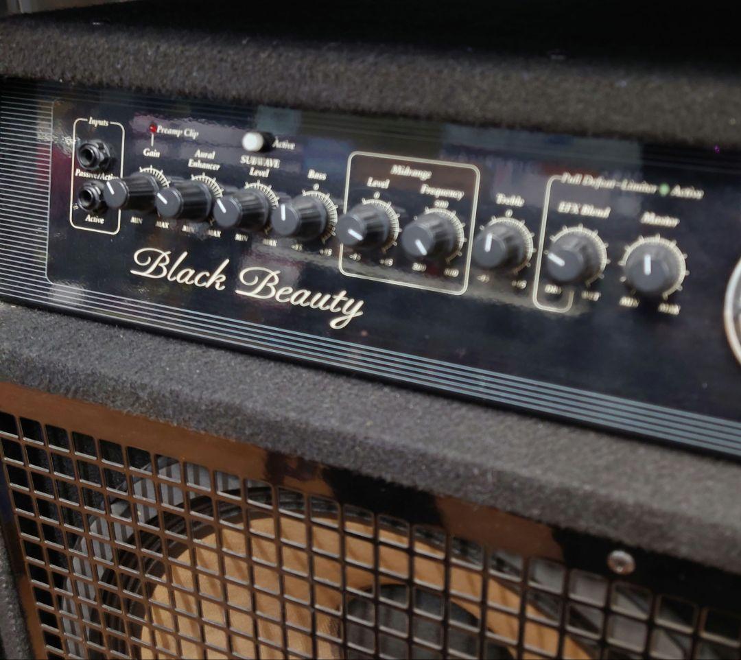 ■■SWR tBlack Beauty ベース用コンボアンプ【真空管アンプ】
