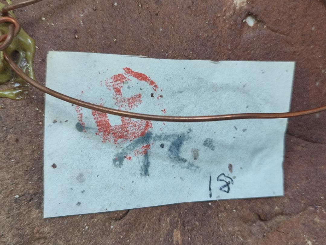 森正　作　馬酔木窯　魚　アート　陶芸家　貴重　レア