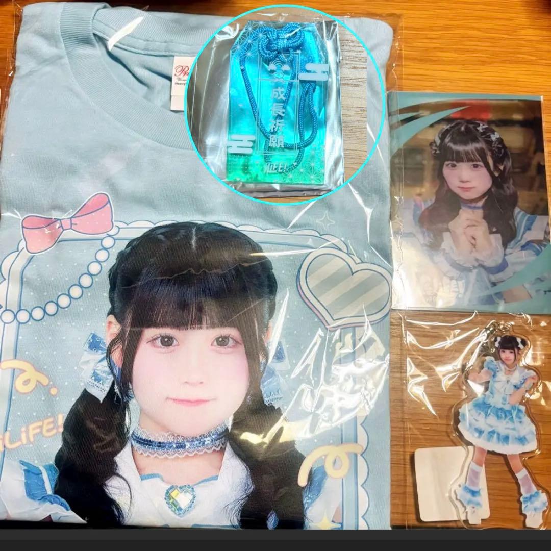 虹羽みにセット 値下げ不可 梱包済み 匿名追跡付き発送 メルカリ便