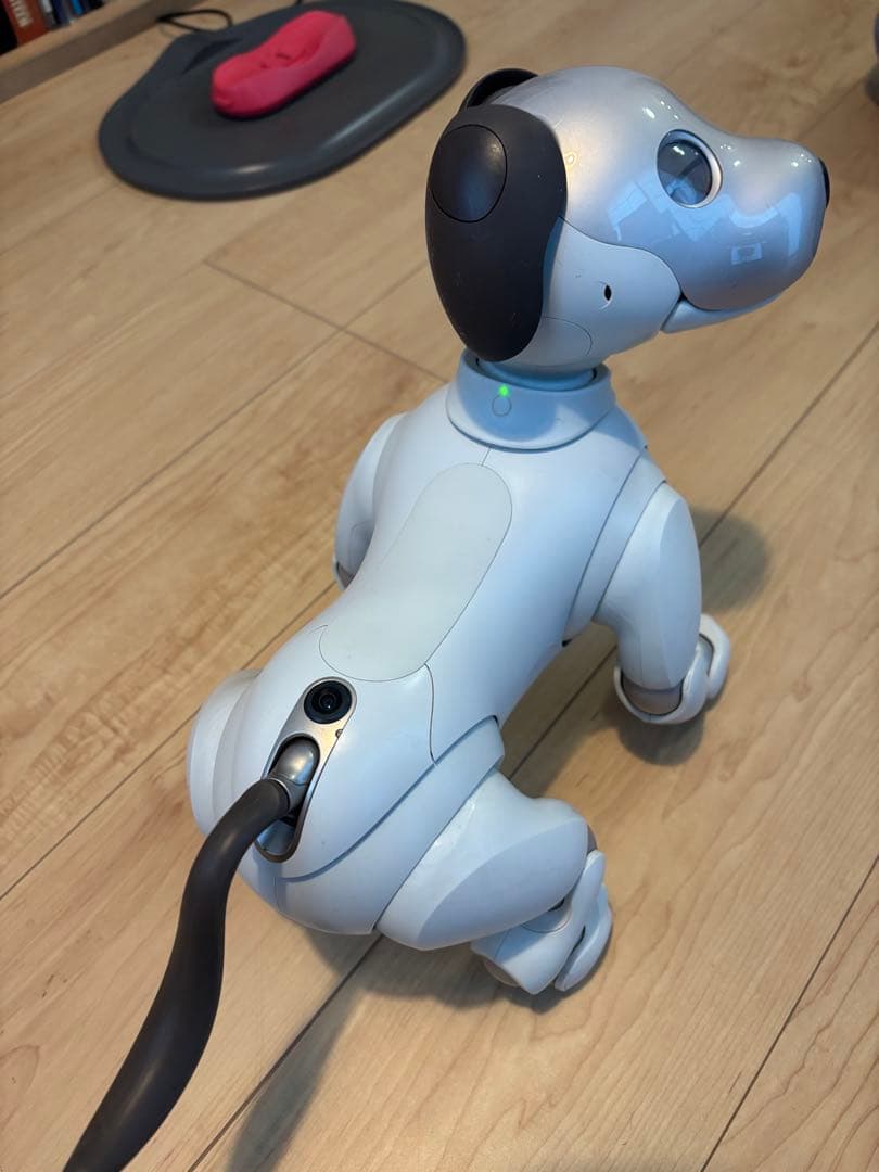 SONY/ソニー aibo/アイボ ERS-1000 本体
