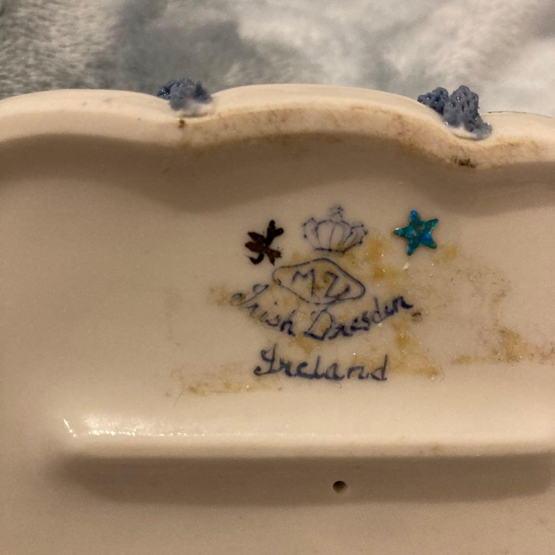 もちこ) アイリッシュドレスデン IRISH DRESDEN ネコ