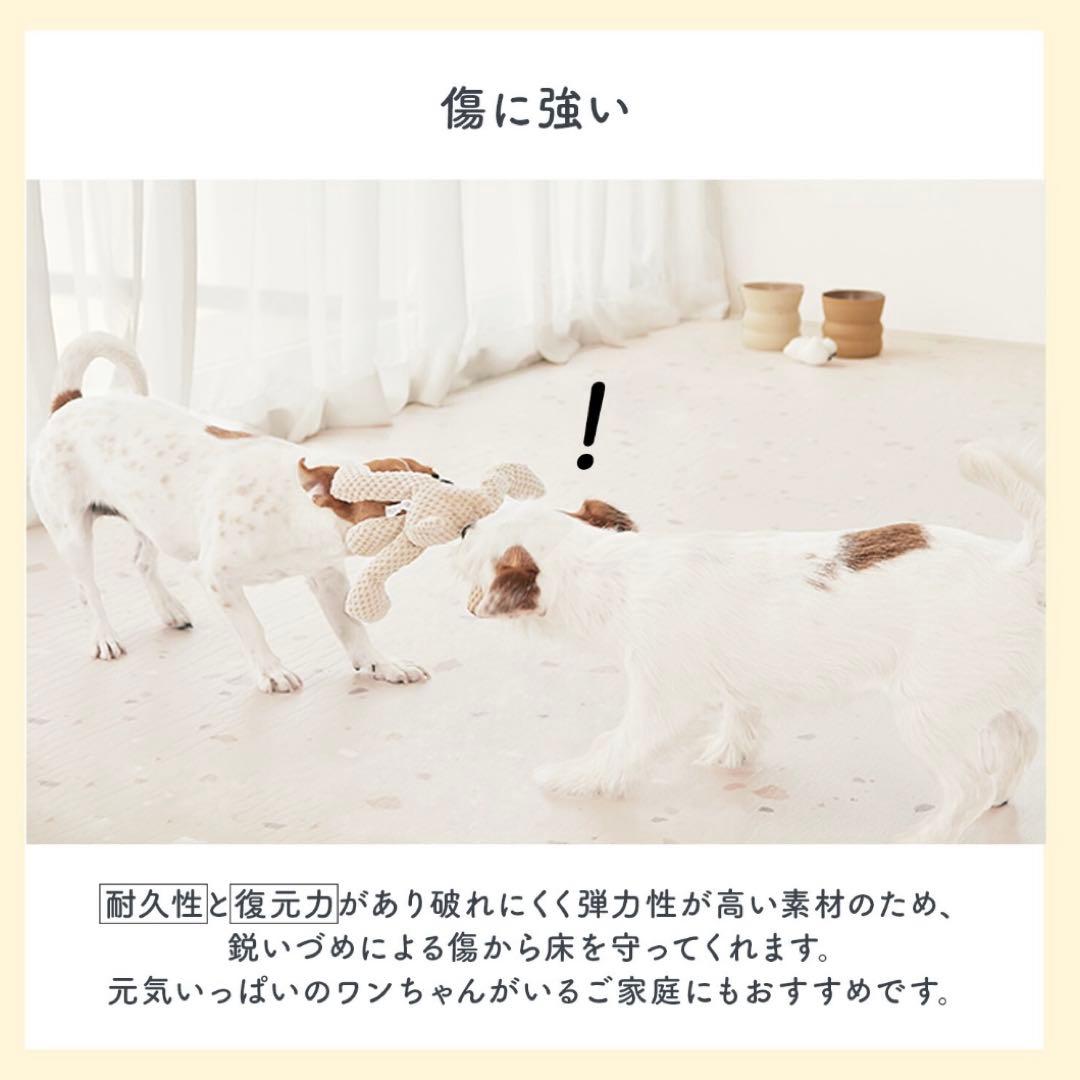 p!nkさま専用　ピュリナ付き