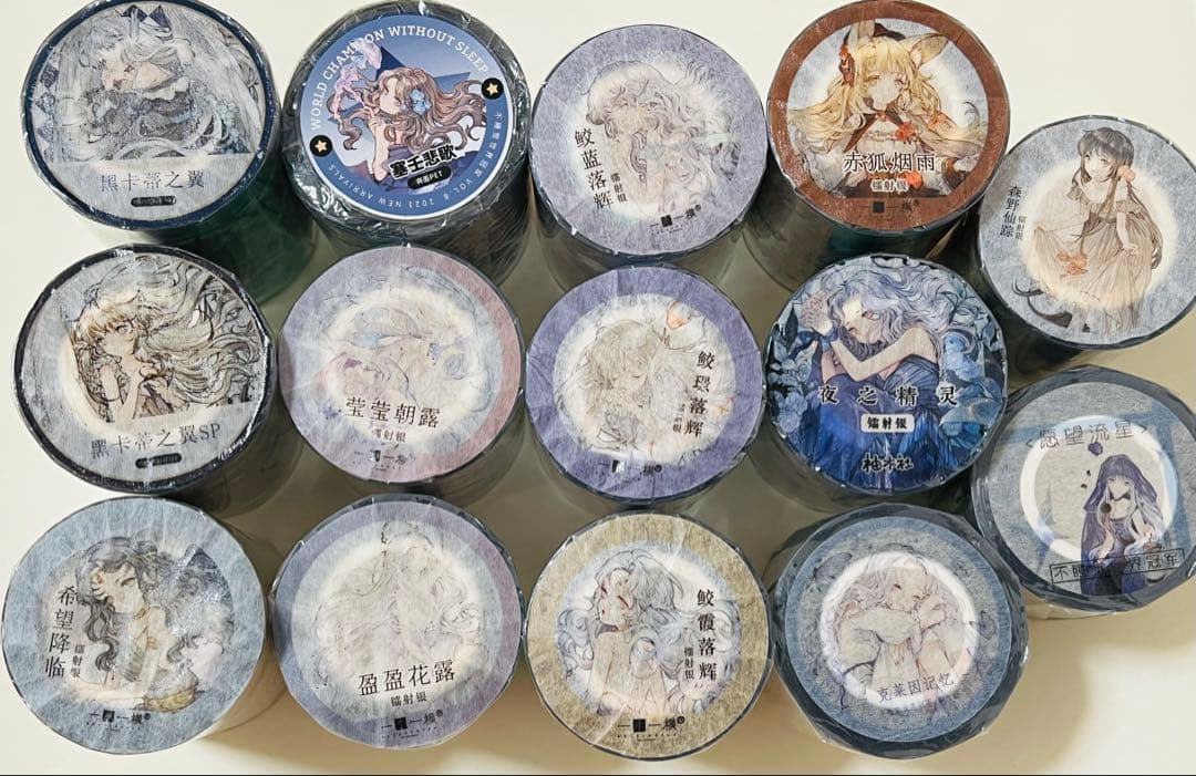 《在庫ラスト❗️処分セール》海外人物　マスキングテープ　墨魚 14点　⚠️ホロpet