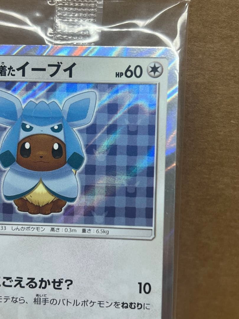 ポンチョを着たイーブイ 未開封 グレイシア