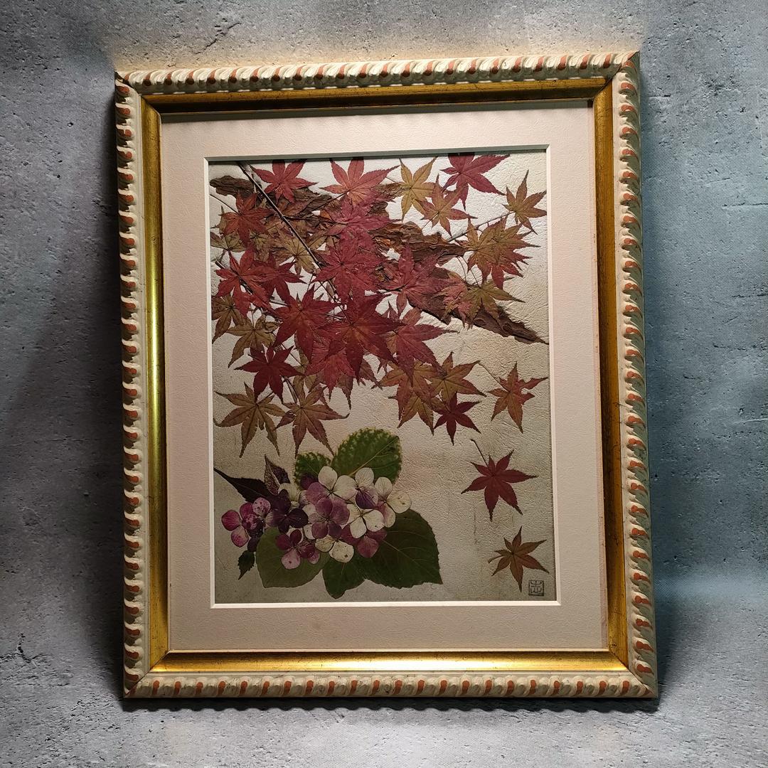 押し花専用額 高級額入り 押し花アート  不思議な花倶楽部  モミジとあじさい
