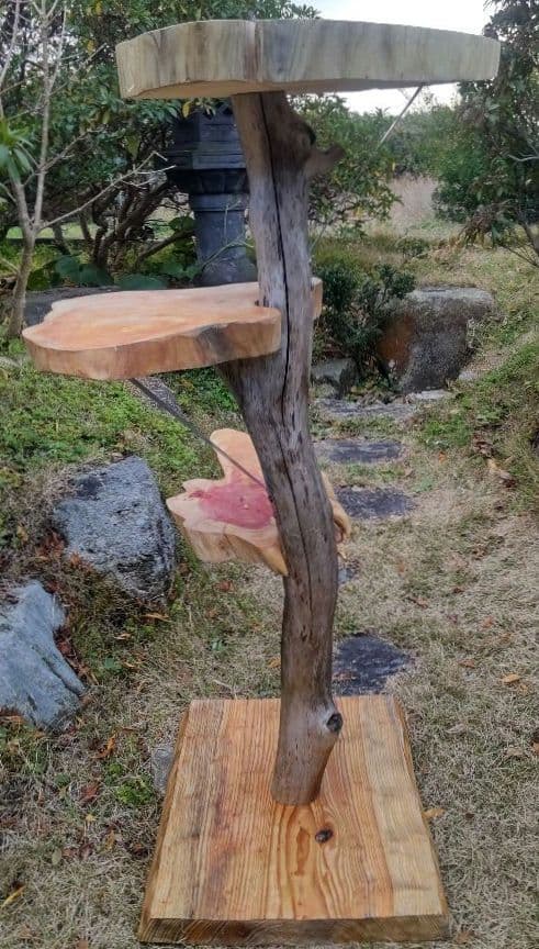 キャットタワー