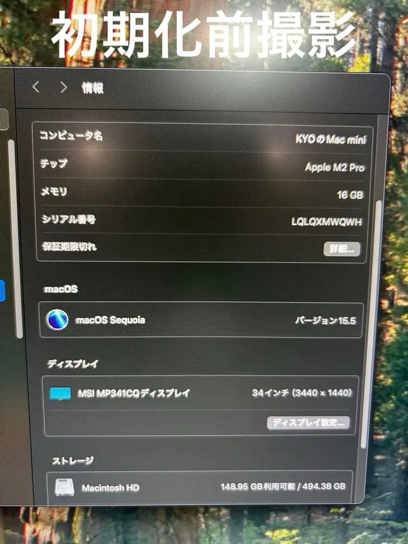 美品M2 pro Mac Mini 16gbメモリ