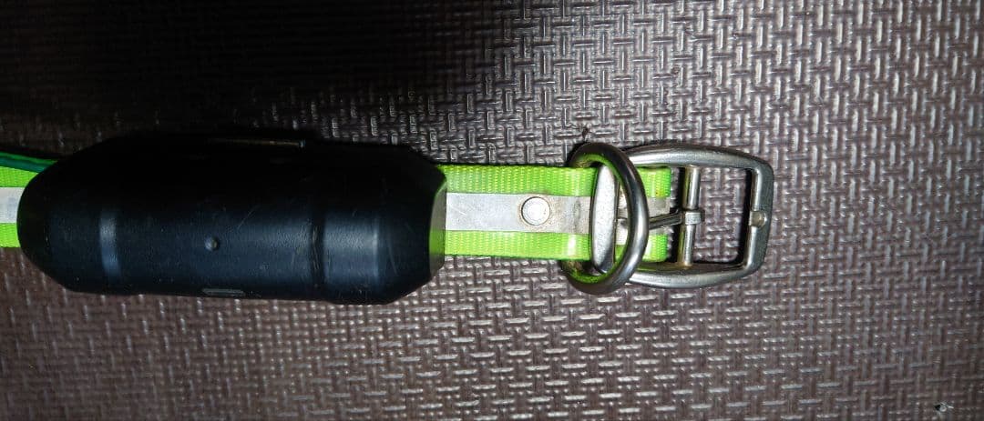 ガーミンアストロ　DC40 ドッグマーカー