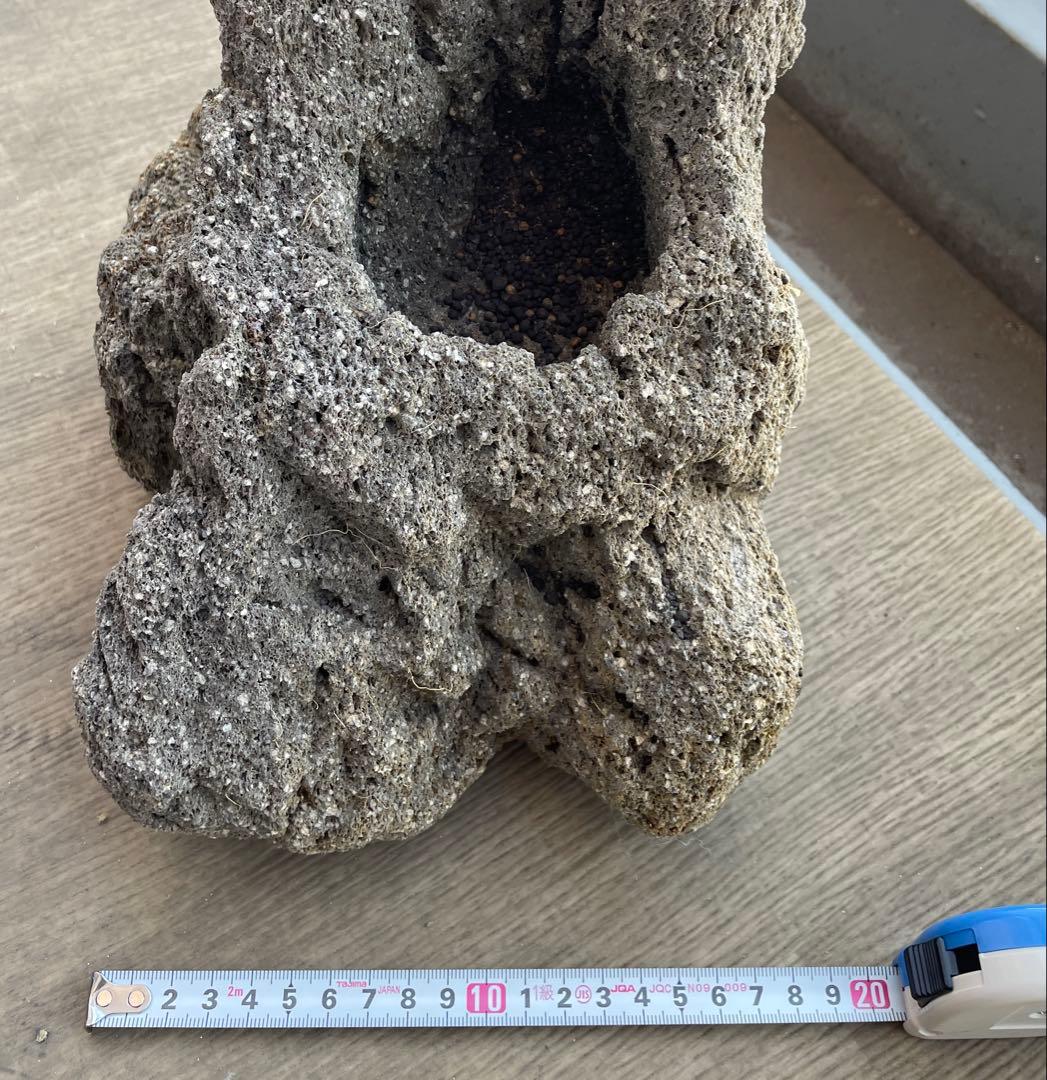 雲山石 水槽 レイアウト 溶岩石