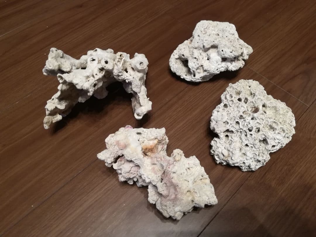 GEX グラステリアags TEGARU 照明 ライブロック他セット