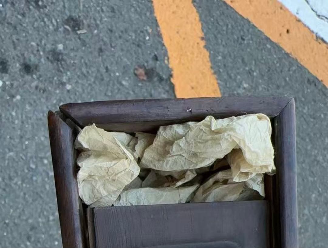 伝統的な日本の掛軸「桜を触る美人図」絹本 肉筆 共箱付き 掛け軸