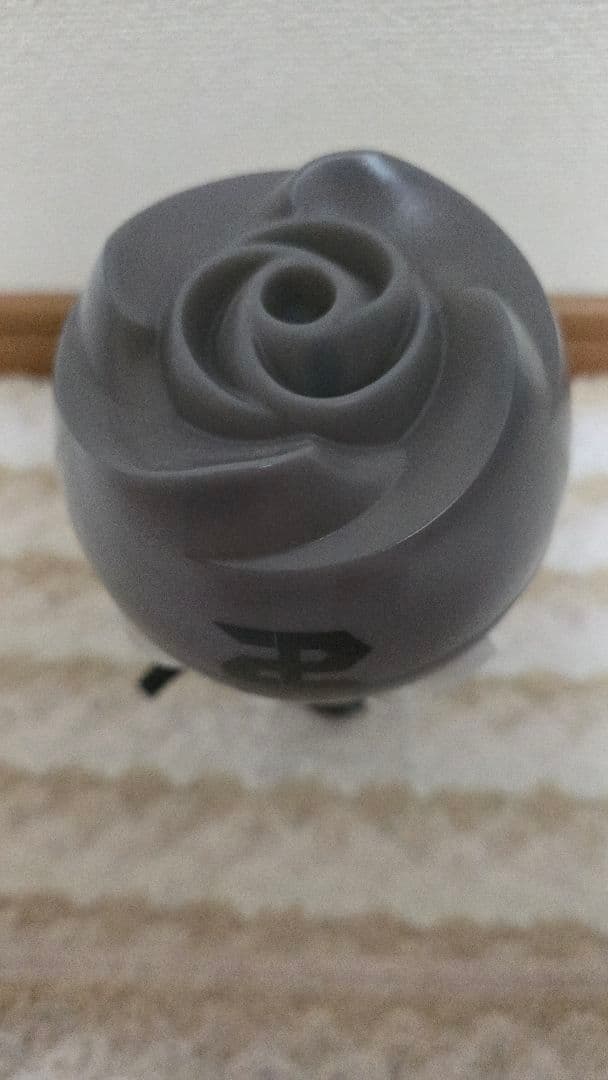 BEAST ビースト HIGHLIGHTハイライト ペンライト ローズ棒 応援棒