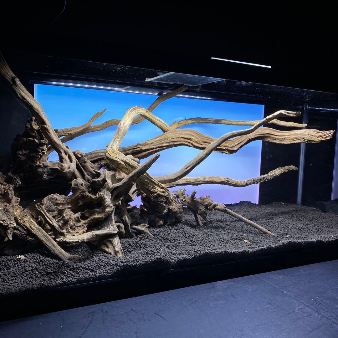 MSRW-6335 天然流木レイアウトセット　スリムウッド　アクアリウム