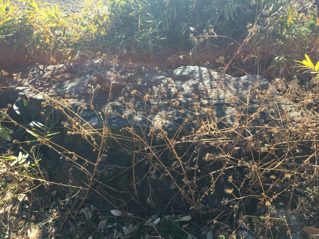 天然記念石！三波石