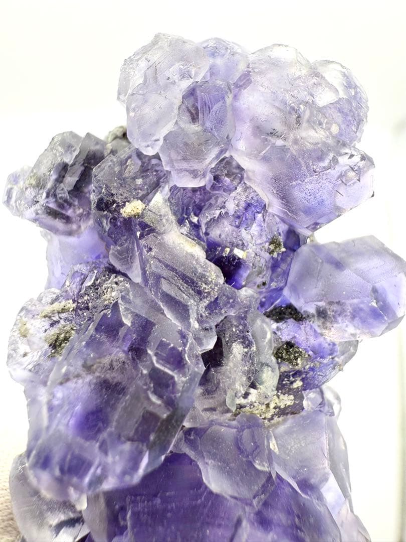 『ツリー』タンザナイト　フローライト　原石　鉱物標本　天然石　蛍石