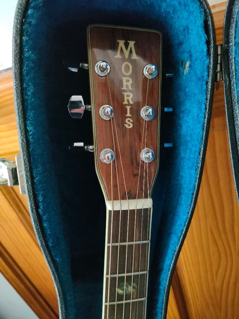 Morris アコースティックギター、レアカラー