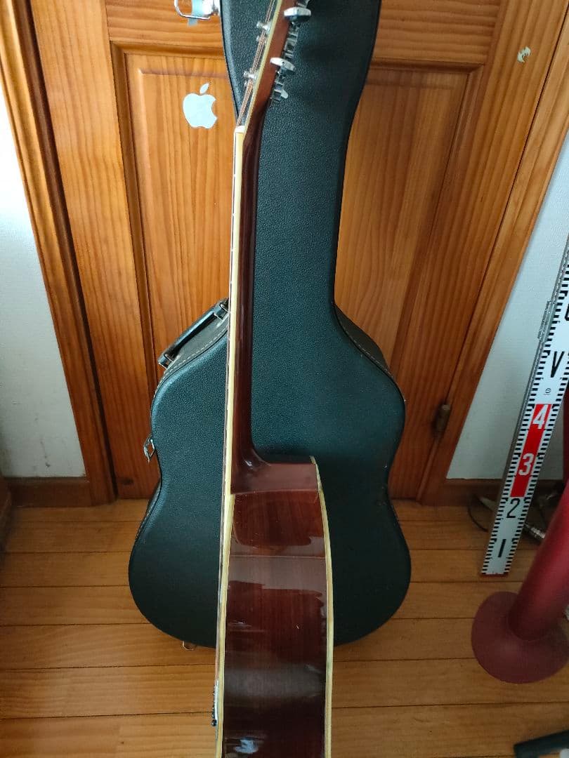 Morris アコースティックギター、レアカラー