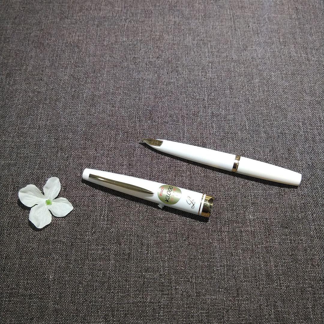 PILOT パイロット Lady レディー X3000 ホワイト 万年筆 18K