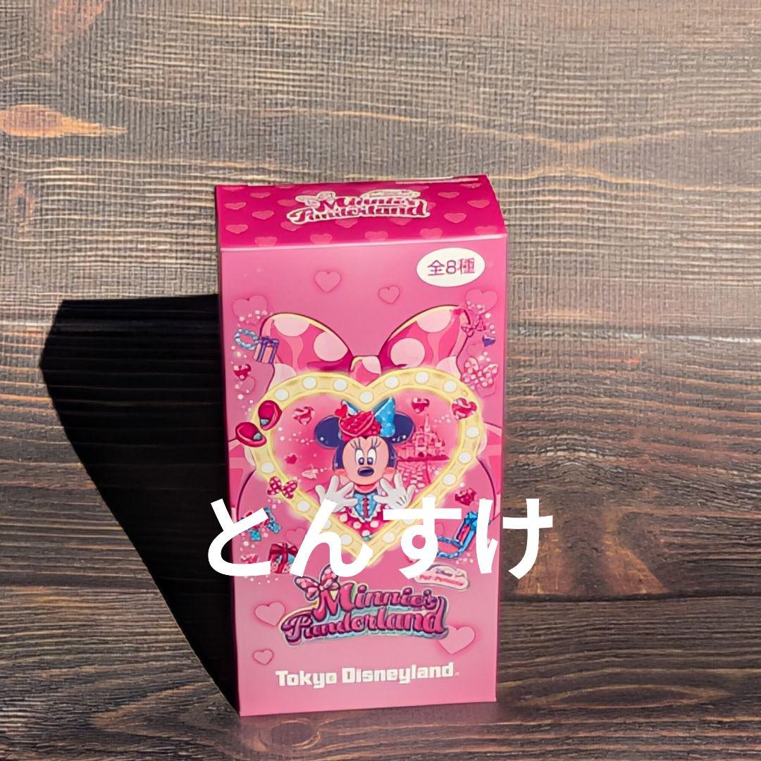 新品タグ付　ワッペンアクセサリーセット　コンプリート 　パルパルーザ　ミニー