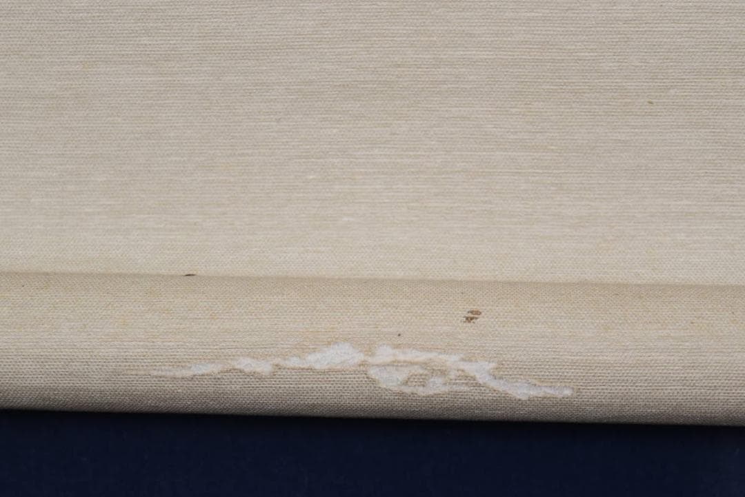 【真作】隆/鴛図/おしどり/掛軸/名家伝来/AA-916