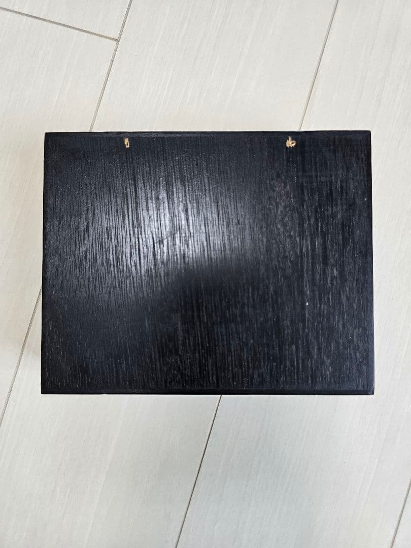 プラチナコガネ８頭ドイツ箱セット