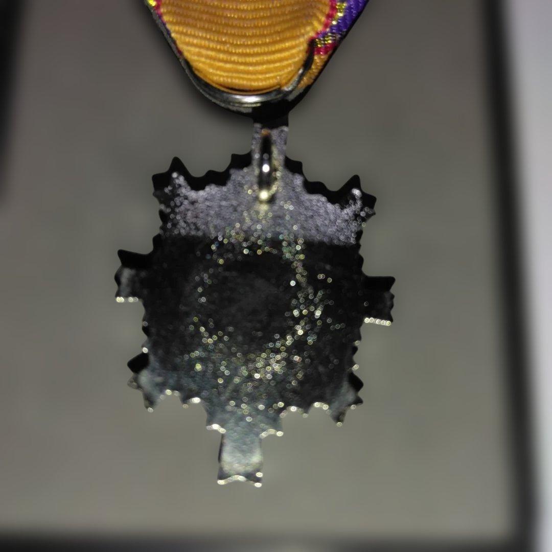 第五等防衛功労章・日本軍メダル