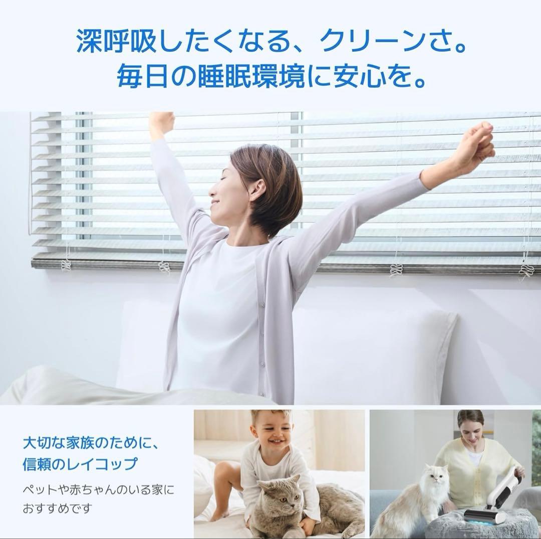 Raycop　レイコップ　プロ3