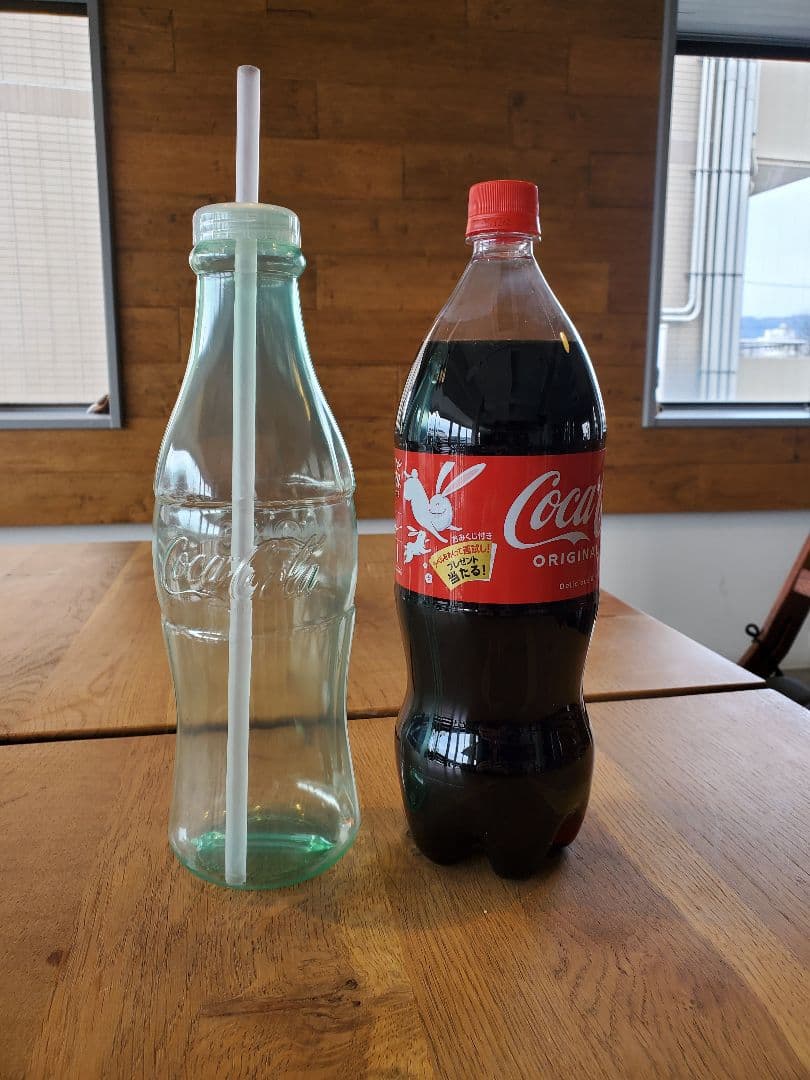 コカ・コーラ空ペットボトル ラスベガス販売品 24本セット