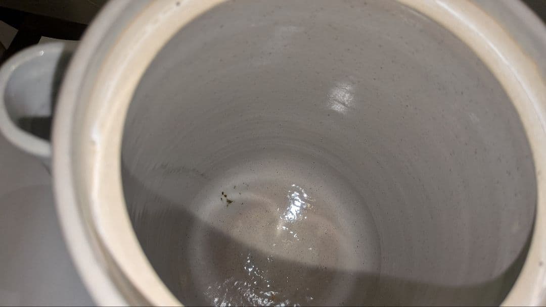 『陽炎園』月に雁絵　耳付き水指　細水指　膳所焼　茶道具　共箱共布　秋月見