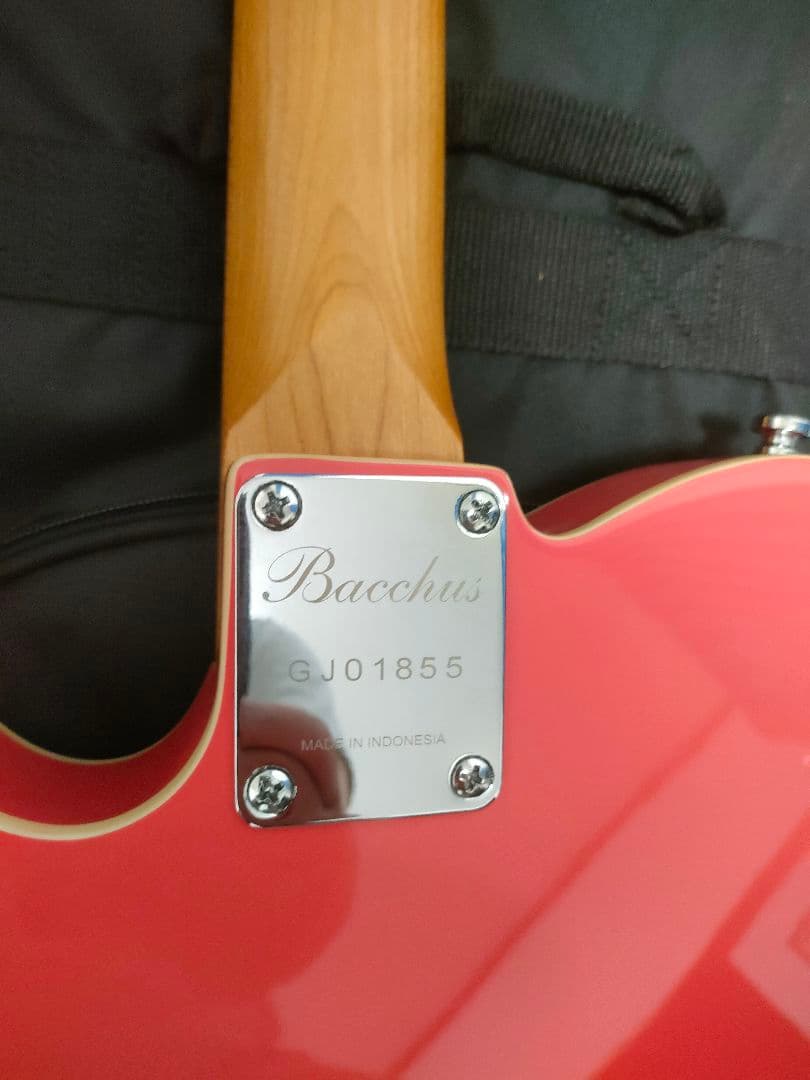 Bacchus TACTICS-CTM25 RSM/M　新品に近い状態です。