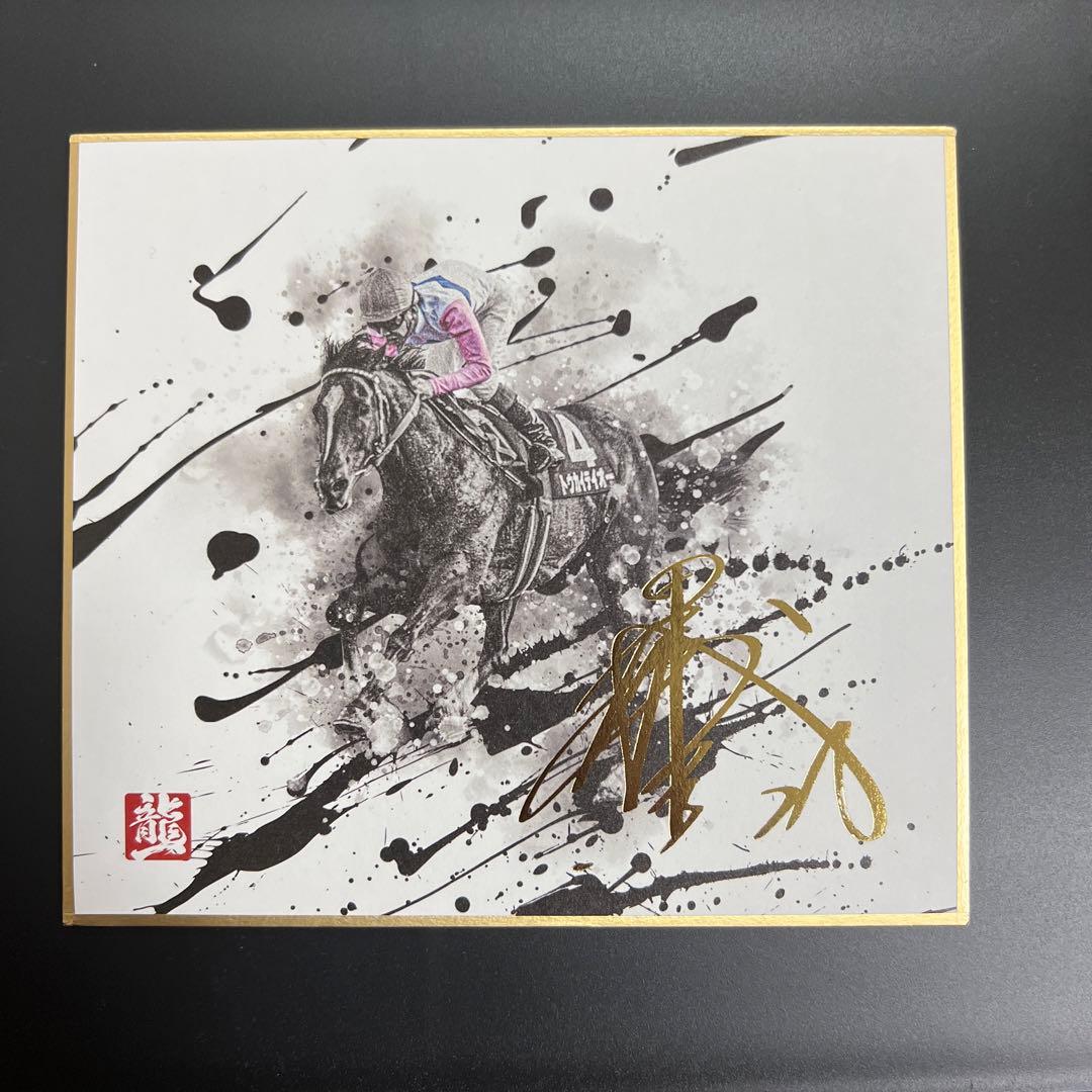 レア　和風競馬色紙トウカイテイオー号