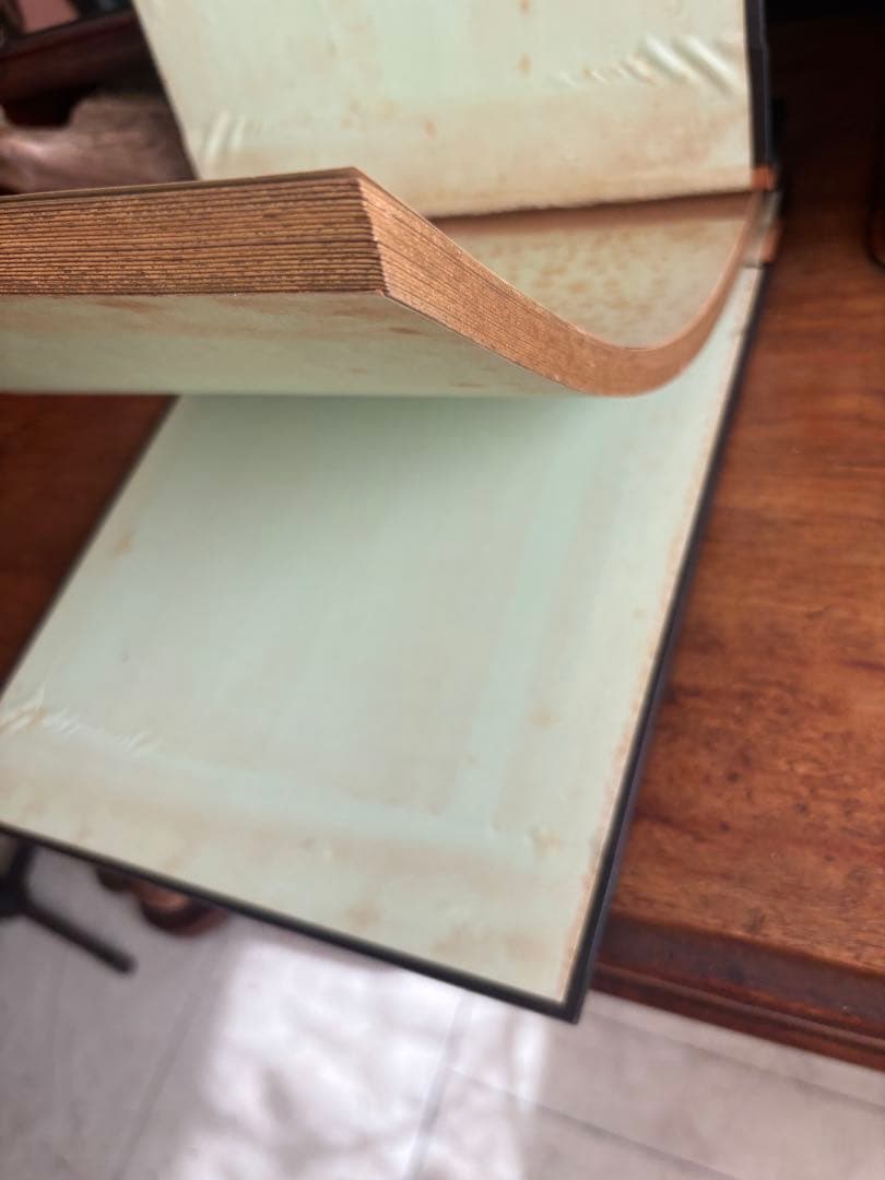 葡萄と葉のレリーフ装飾 ぶどう木製アートアルバムノートアンティークヴィンテージ