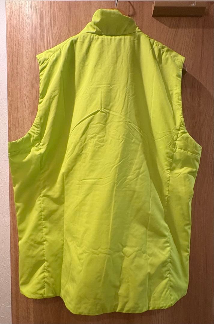 パタゴニアPatagoniaベスト