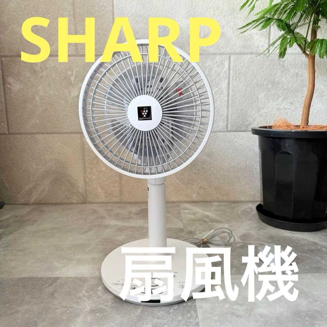 SHARP シャープ 扇風機 サーキュレーターPJ-L2DS プラズマクラスター