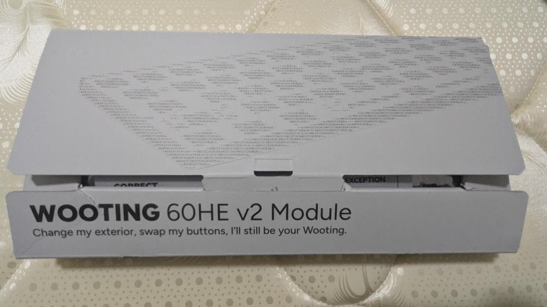 キーボード Wooting 60he v2 Module