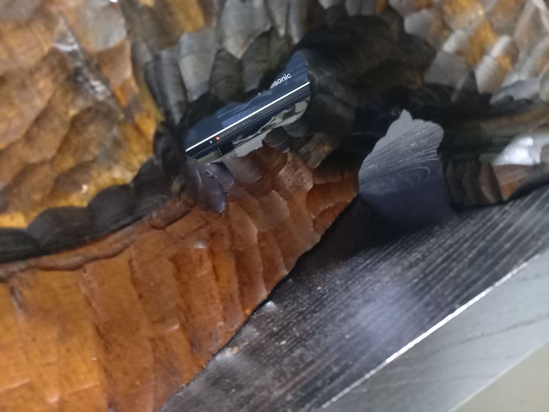 北海道　農民　民芸　大型　木彫り　硝子目　鮭背負い熊　台座　付属