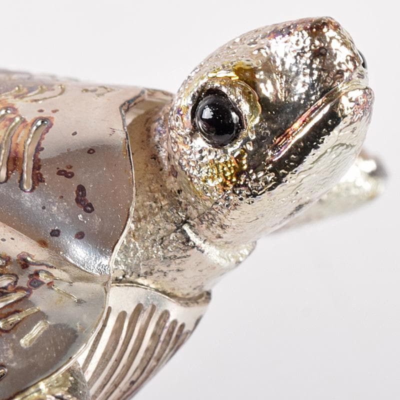 aki　クリストフル　リュミエールダルジャン　亀　M　R7838