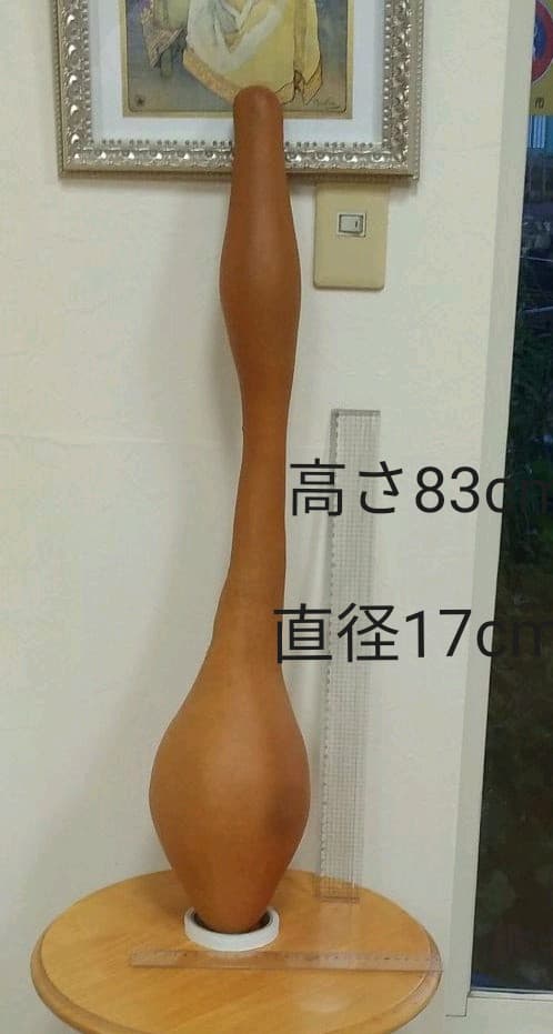 ひょうたん　46　乾燥済み　変わり　首長　超特大サイズ　無病息災　縁起物