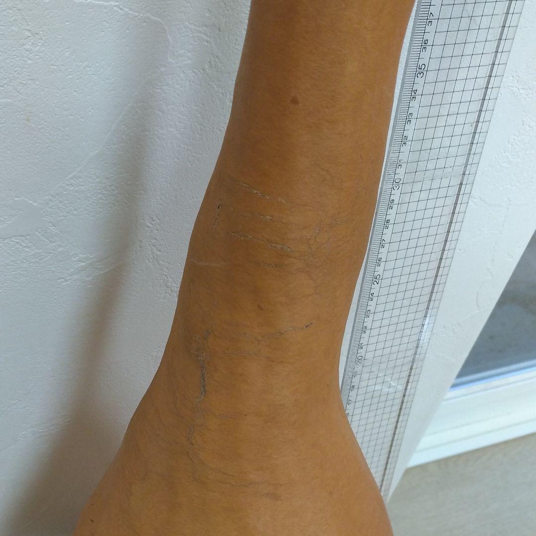 ひょうたん　46　乾燥済み　変わり　首長　超特大サイズ　無病息災　縁起物