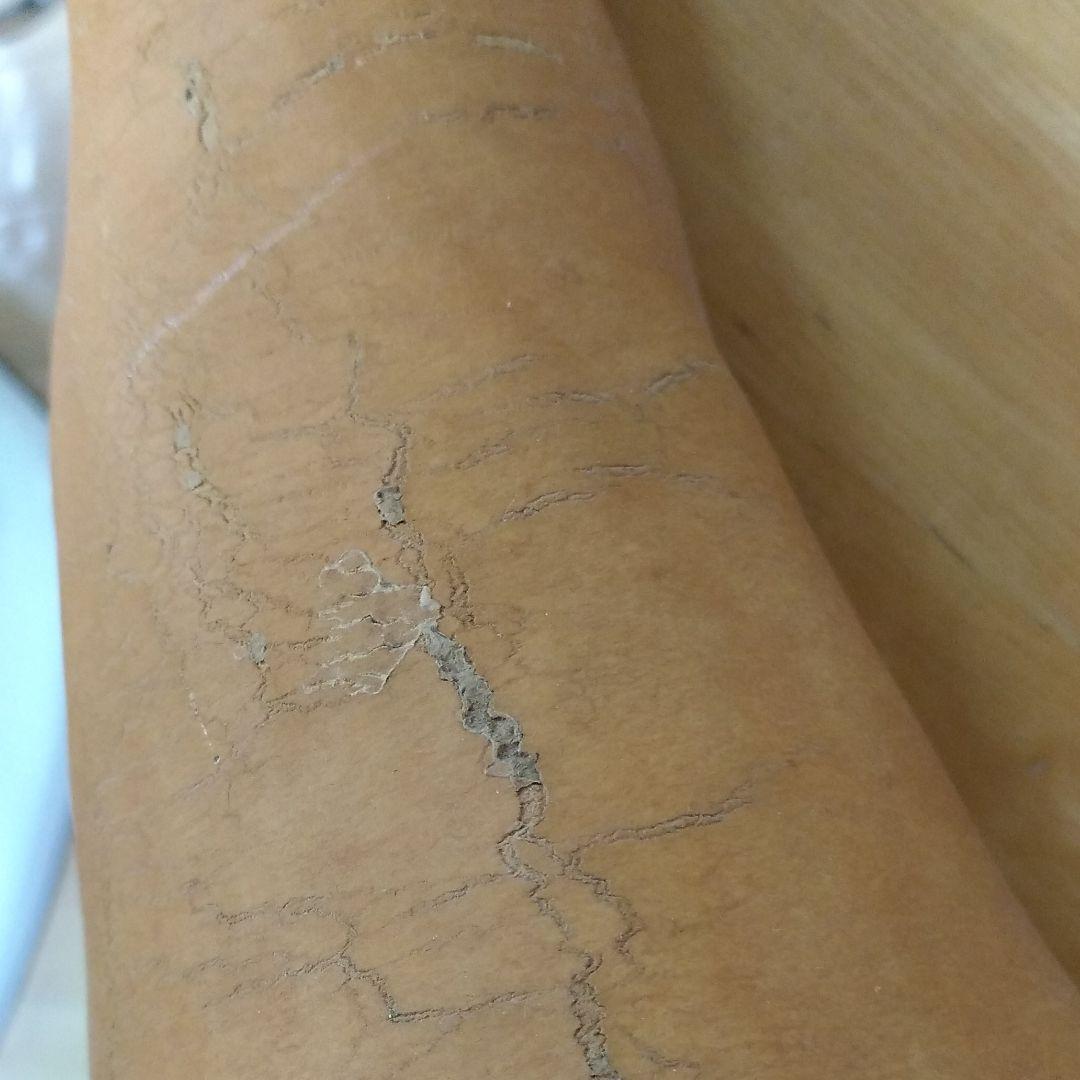 ひょうたん　46　乾燥済み　変わり　首長　超特大サイズ　無病息災　縁起物