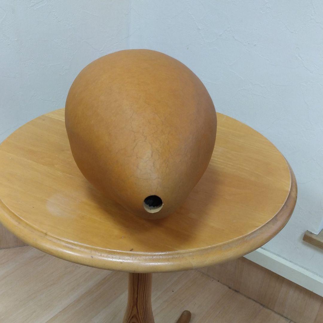 ひょうたん　46　乾燥済み　変わり　首長　超特大サイズ　無病息災　縁起物