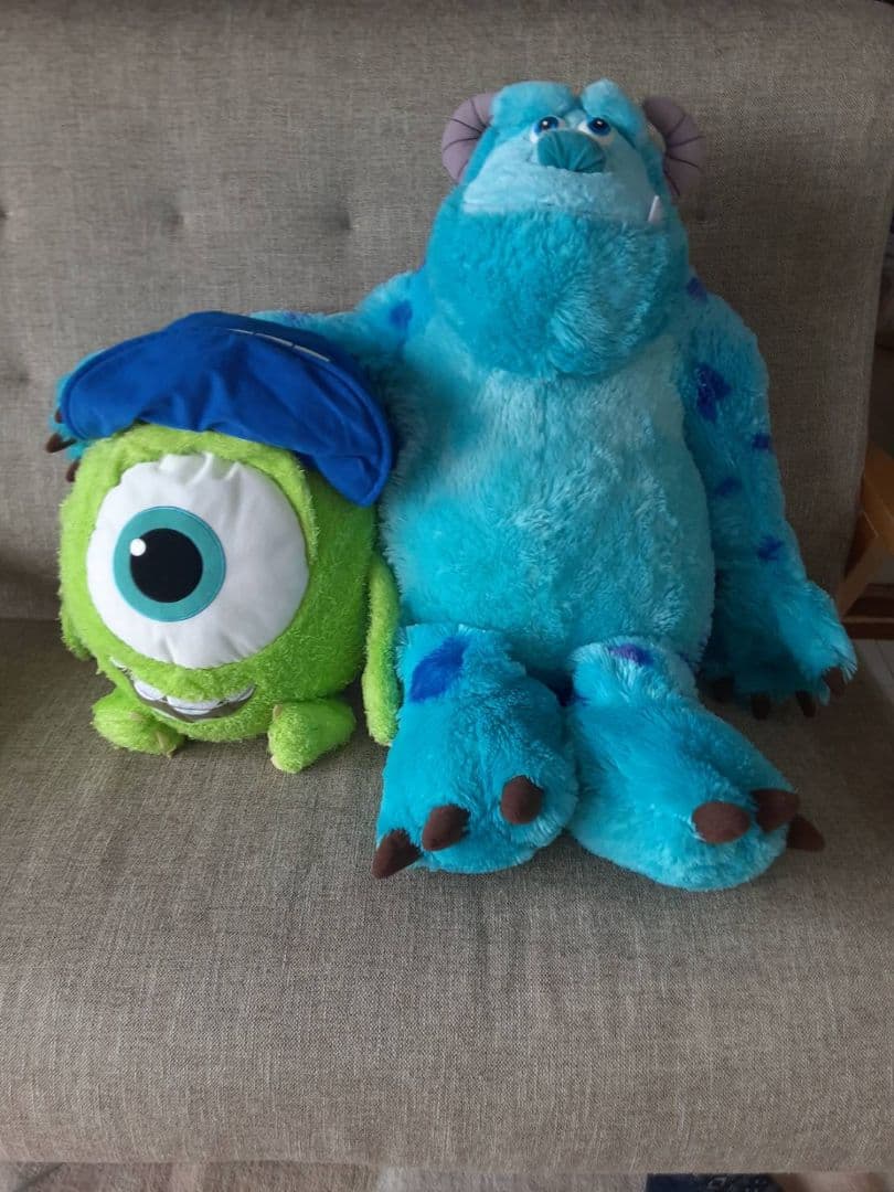 サリー 単独 大きいサイズ