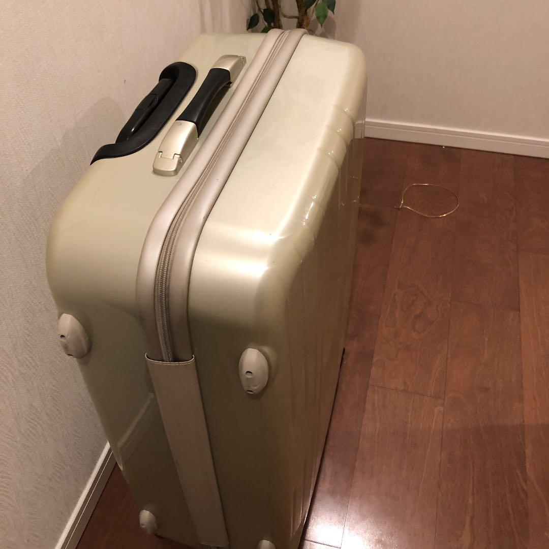 キャリーバック(大)