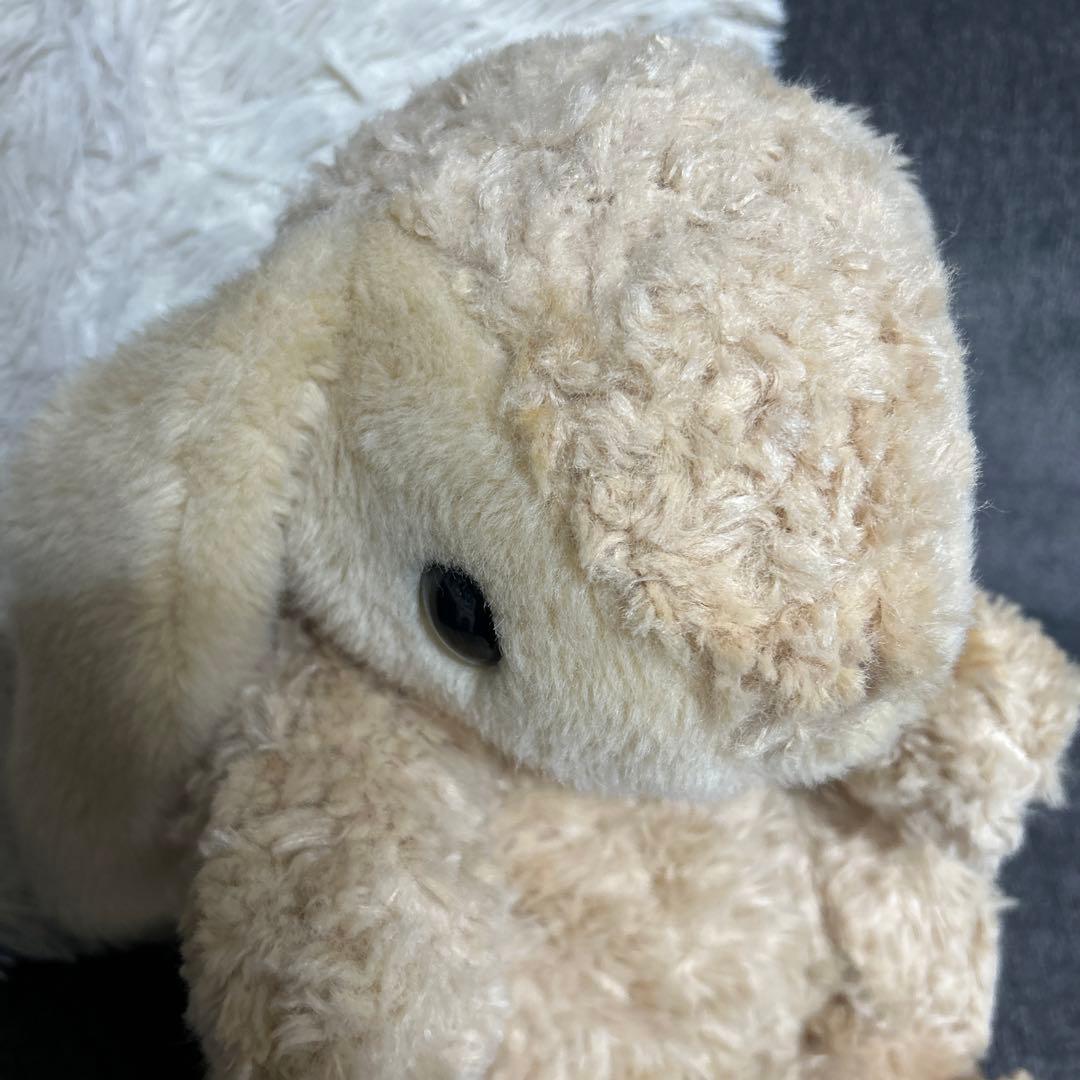 コモアンドレイ Como&Ray うさぎ　ぬいぐるみ　希少