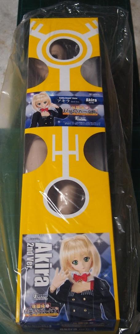 ◆DDS　アキラ 2nd Ver.　ドルフィードリーム　ドール