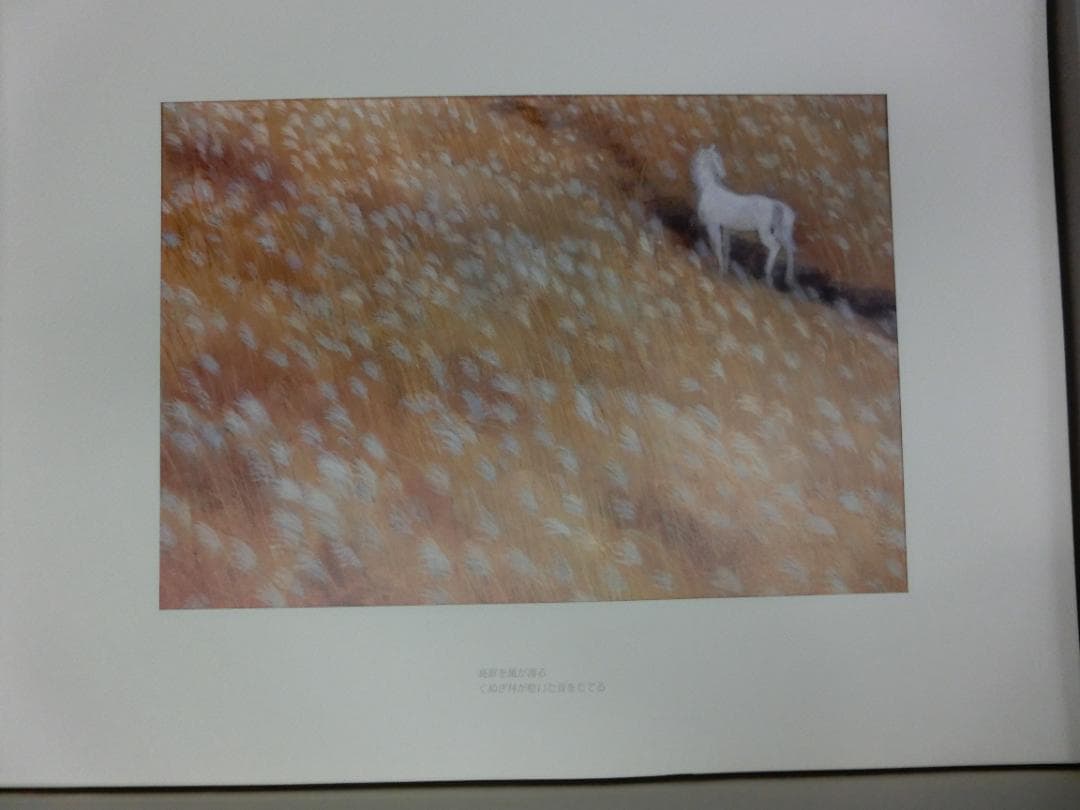 東山魁夷 画集『白馬幻想』