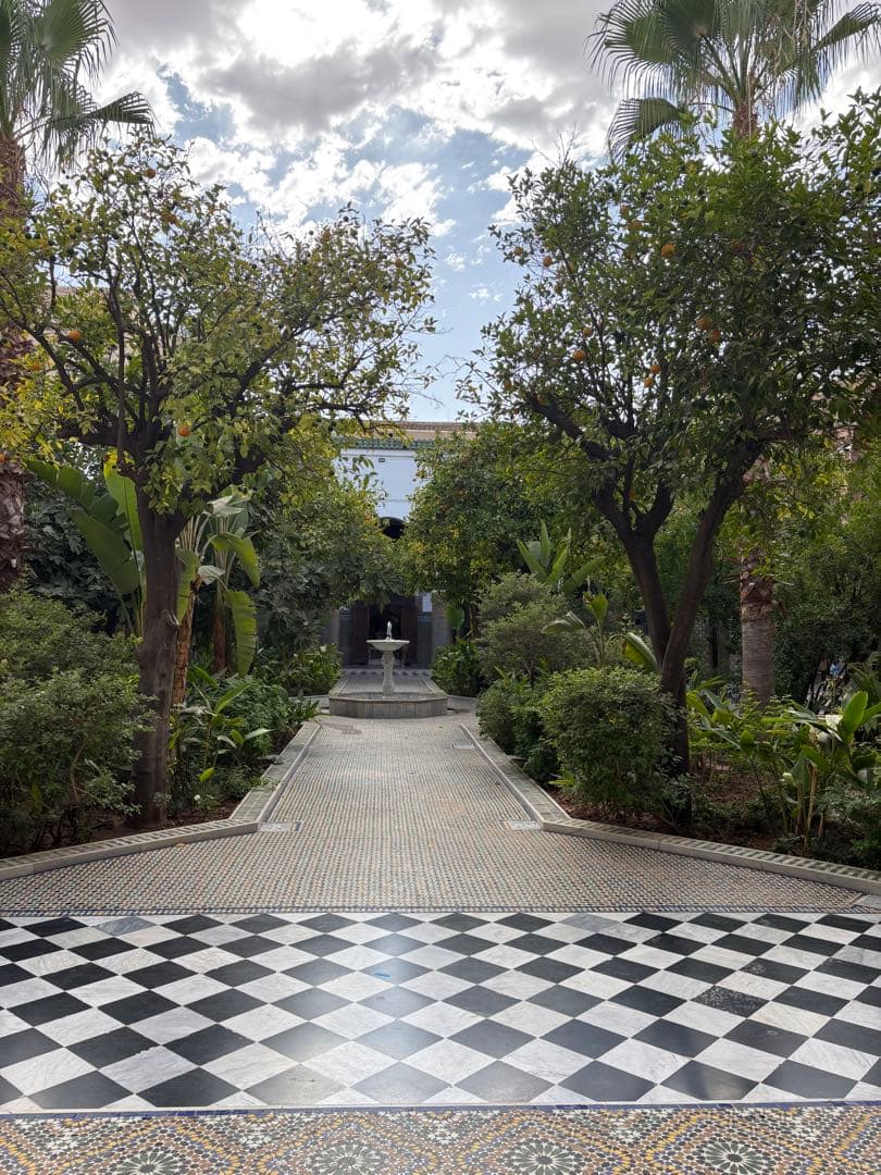 【新品・箱入り】Bacha Coffee バシャコーヒー キャニスター　ブラック